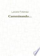 Camminando...