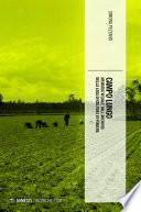 Campo lungo