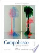 Campobasso: Storia, evoluzione urbanistica, economia e società