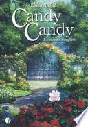 Candy Candy. Il romanzo completo