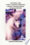 Cani Husky e Viste Nel Nain - Nunatsiavut, Wilderness Labrador, Terranova Provincia Del Canada 1965-1966