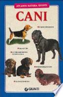Cani