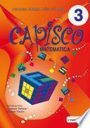 Capisco matematica 3