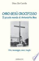 Caro Gesù crocifisso. Il piccolo mondo di Antonietta Meo. Vita, messaggio, amici, luoghi