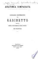 Catalogo sistematico ...