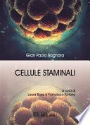 Cellule Staminali