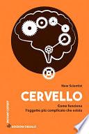 Cervello