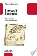 Che cos'è l'entropia. Ordine, disordine, evoluzione dei sistemi