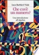 Che cos'è un numero. Un'introduzione all'algebra