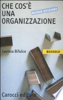 Che cos'è una organizzazione