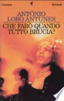 Che farò quando tutto brucia?