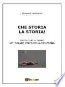 Che storia la storia