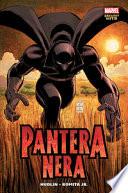 Chi è la Pantera Nera?