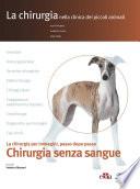 Chirurgia senza sangue