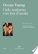 Cielo notturno con fori d’uscita