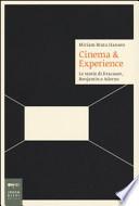 Cinema & esperience. Le teorie di Kracauer, Benjamin e Adorno