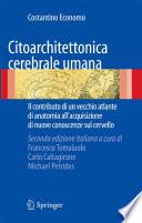 Citoarchitettonica cerebrale umana