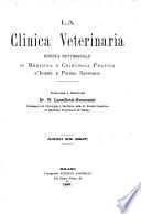 Clinica veterinaria