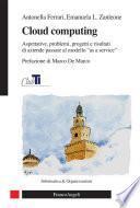 Cloud computing. Aspettative, problemi, progetti e risultati di aziende passate al modello as a service