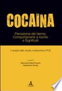 Cocaina. Percezione del danno, comportamenti a rischio e significati. I risultati dello studio multicentrico PCS