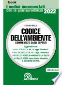 Codice dell'ambiente