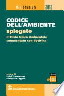 Codice dell'ambiente spiegato