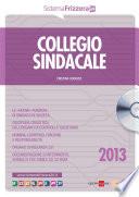 Collegio sindacale 2013