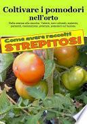 Coltivare i pomodori nell’orto. Come avere raccolti strepitosi