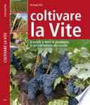 Coltivare la vite