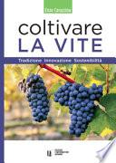 Coltivare la vite. Tradizione, innovazione, sostenibilità