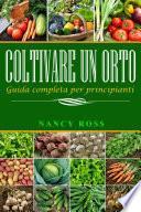 Coltivare un orto: Guida completa per principianti
