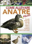 Come allevare anatre felici