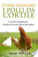 Come Allevare i Polli da Cortile: La Guida Completa per Prendersi Cura da Pulcini alle Galline