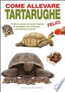 Come allevare tartarughe felici