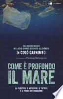 Come è profondo il mare. La plastica, il mercurio, il tritolo e il pesce che mangiamo