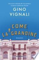 Come la grandine