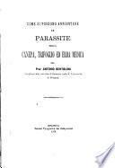 Come si possono annientare le parassite canepa