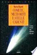 Comete, meteoriti e stelle cadenti. I corpi minori del sistema solare