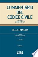 Commentario Codice della Famiglia vol. II