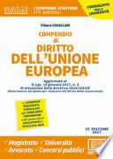 Compendio di diritto dell'Unione Europea. Aspetti istituzionali e politiche UE
