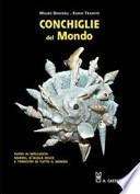 Conchiglie dal mondo