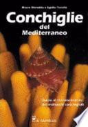 Conchiglie del Mediterraneo