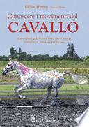 Conoscere i movimenti del cavallo