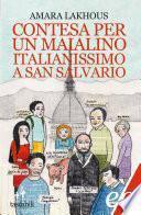 Contesa per un maialino italianissimo a San Salvario