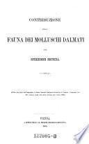 Contribuzione pella fauna dei molluschi dalmati