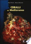 Coralli del Mediterraneo