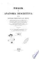 Corso di anatomia descrittiva per Fortunato Rudel