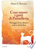Cosa sanno i gatti di Pantelleria. Paesaggi di un altrove reale e simbolico 