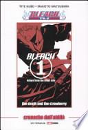 Cronache dall'aldilà. Bleach
