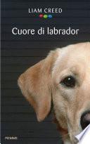 Cuore di labrador
